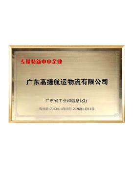 Guangdong SRDI (Specialized, Refinement, Differential and Innovation) Enterprise